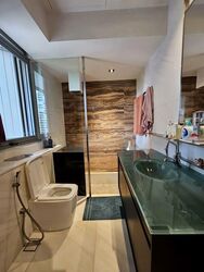 SilverSea (D15), Condominium #555590511
